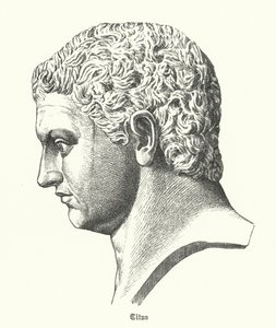 Titus, Romeinse keizer door German School